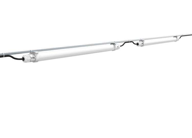 best light for chicken coop best light for chicken coop