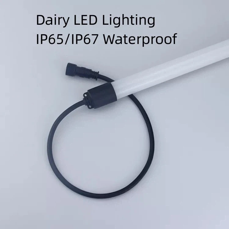 cow shed light cow shed light