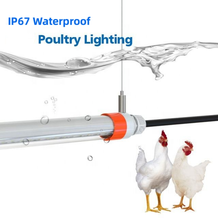 led light bulbs for chicken house led light bulbs for chicken house