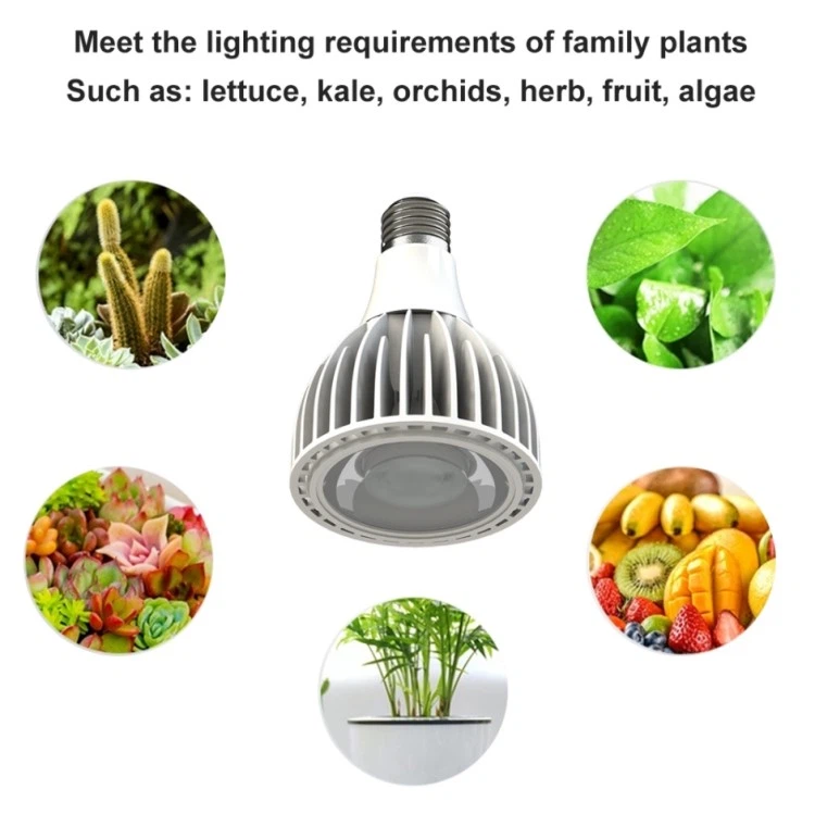 grow bulbs light for plants grow bulbs light for plants
