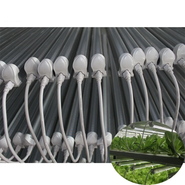 full spectrum led grow lights full spectrum led grow lights