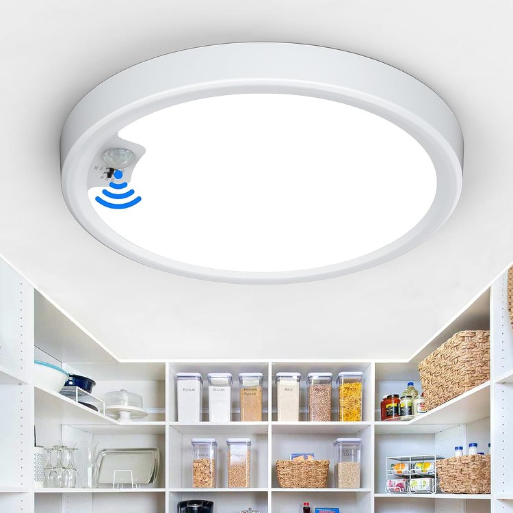 Motion Sensor Ceiling Light Motion Sensor Ceiling Light