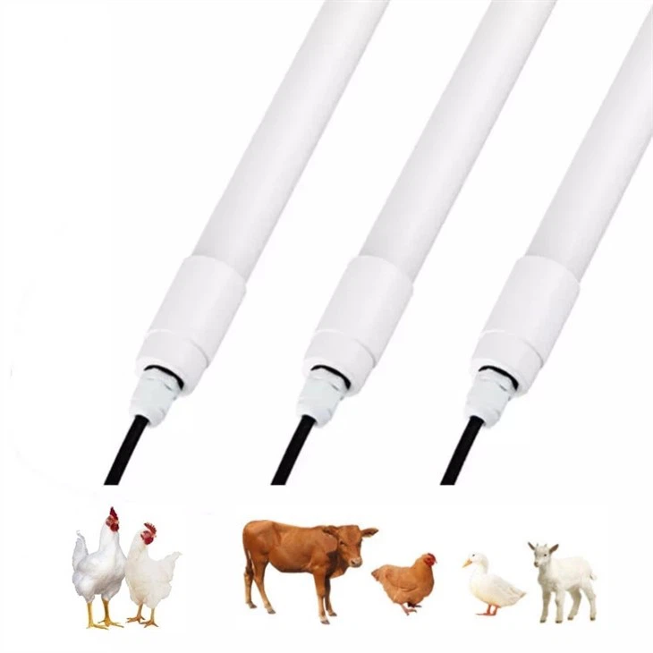 led lights for poultry house