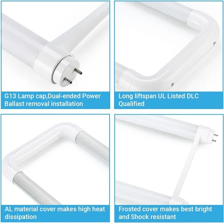 2 Foot U Shaped LED Bulb 1