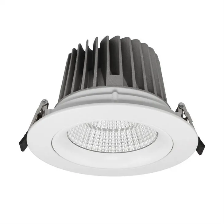 Plafon Downlights Blan