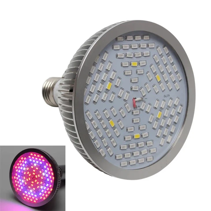 Daylight Spectrum Bulbs