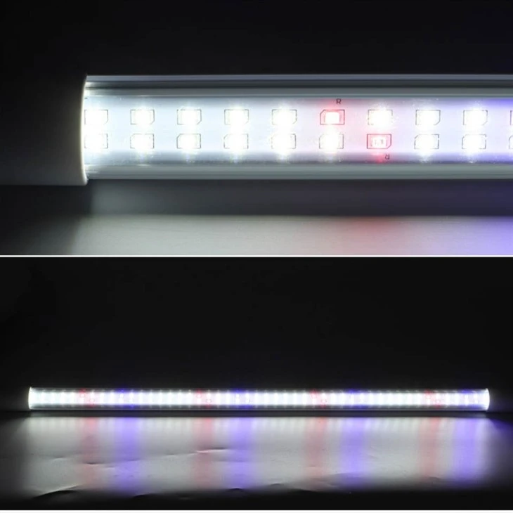 Grow Lights For House Plants