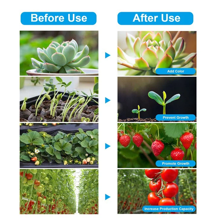 300LED Grow Light Bulb 2