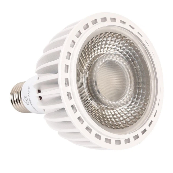Led grandi anpoul limyè