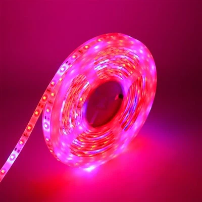 Leksib RGB dirije Neyon limyè bann