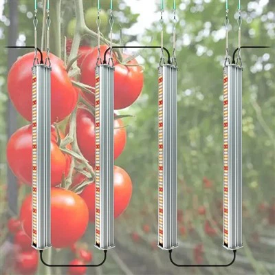 Full Spectrum Integrated Tomat Growing Lights
