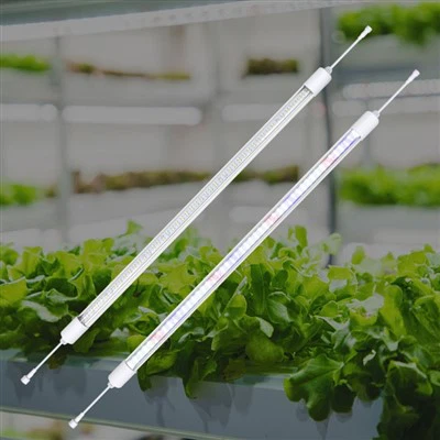 Limyè Greenhouse pou sezon fredi