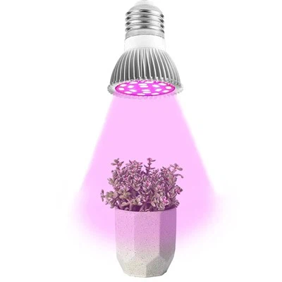 Anpoul Limyè Plant Andedan kay la