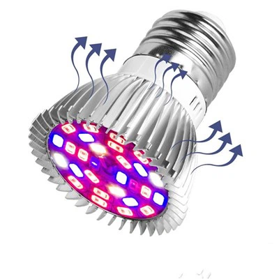 Led grandi anpoul pou plant yo