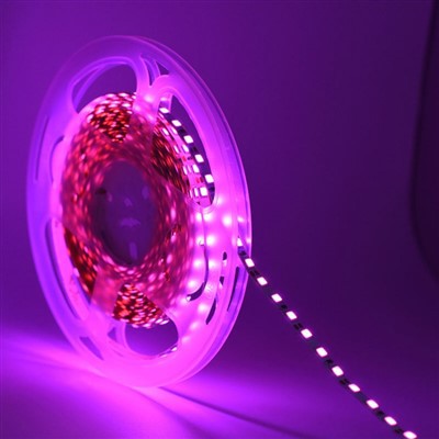 Rechargeable Strip Limyè