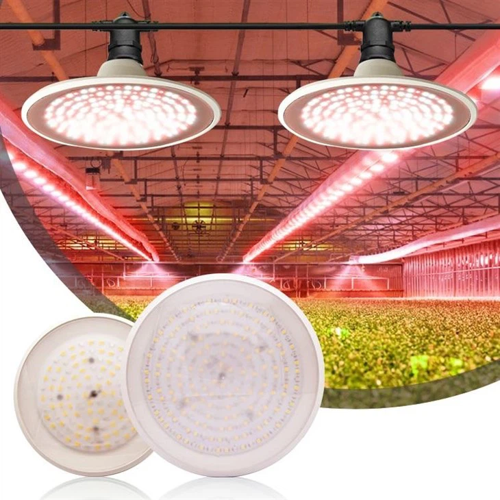 UFO dirije grandi limyè pou plant andedan kay la
