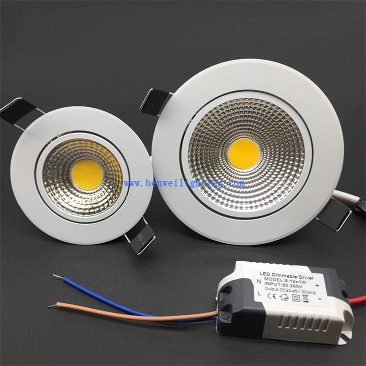 Adjustable Accent Light (4)
