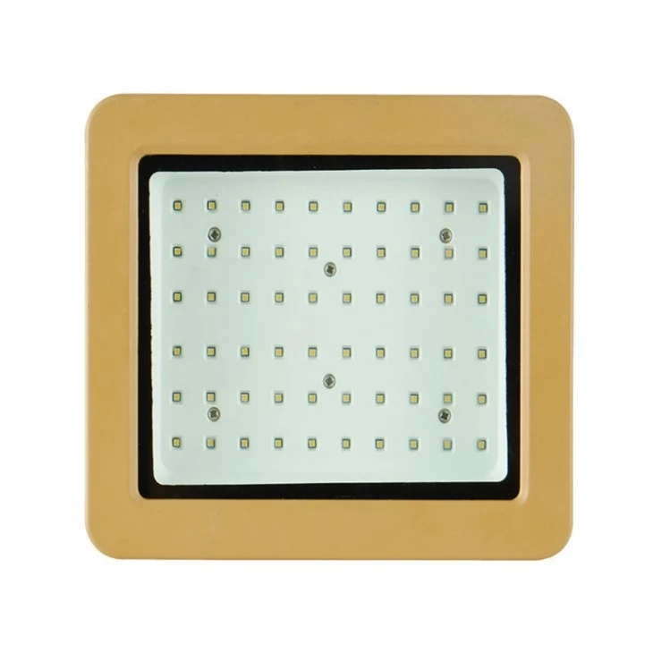 Best Marine Flood Lights