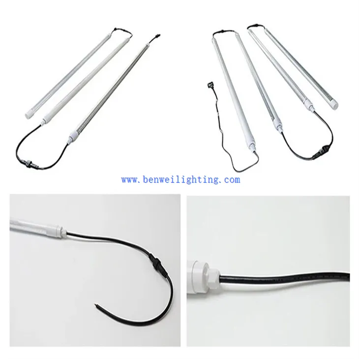 Bird Brooder Light (4)
