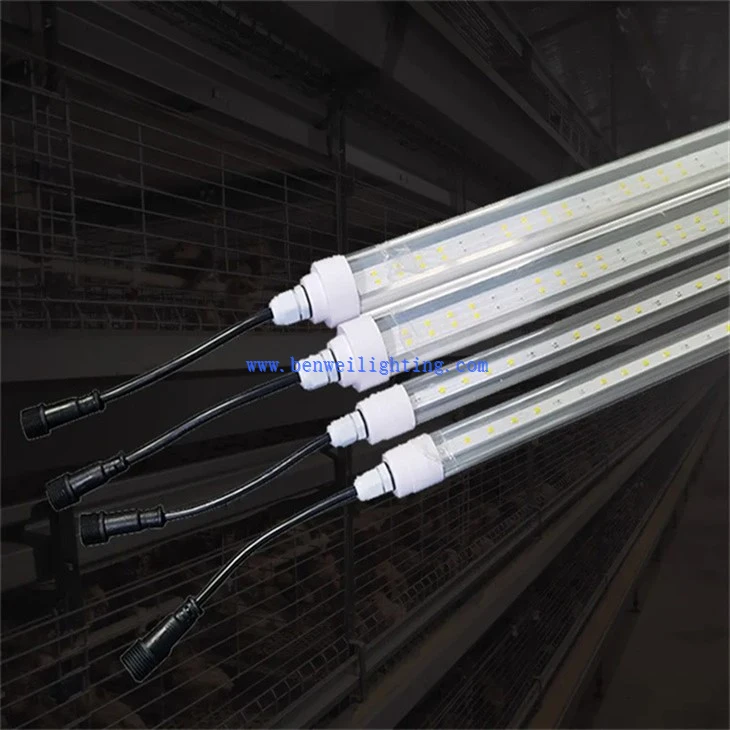 Chick Warming Light (1)