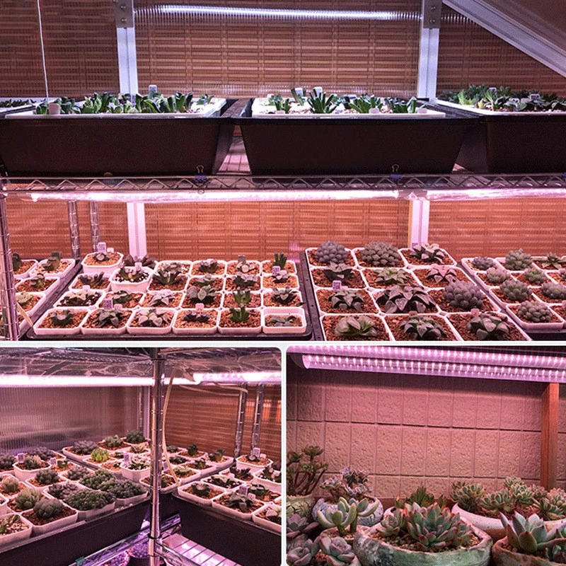 Grow T8A7