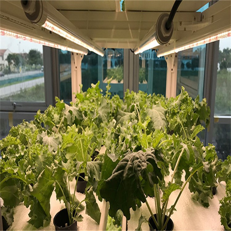 grow led tube installation 5 grow led tube installation 5