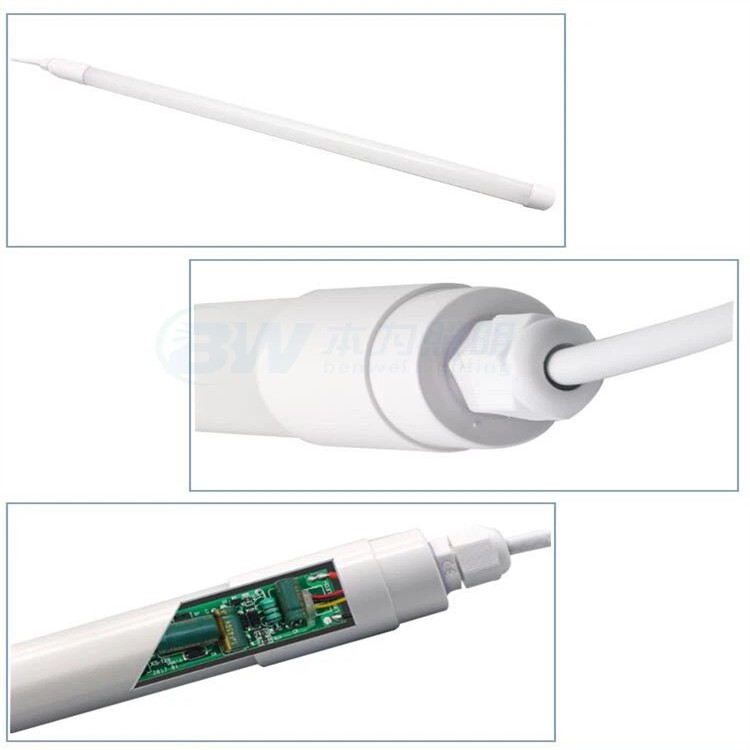 Egg Incubator Light 5