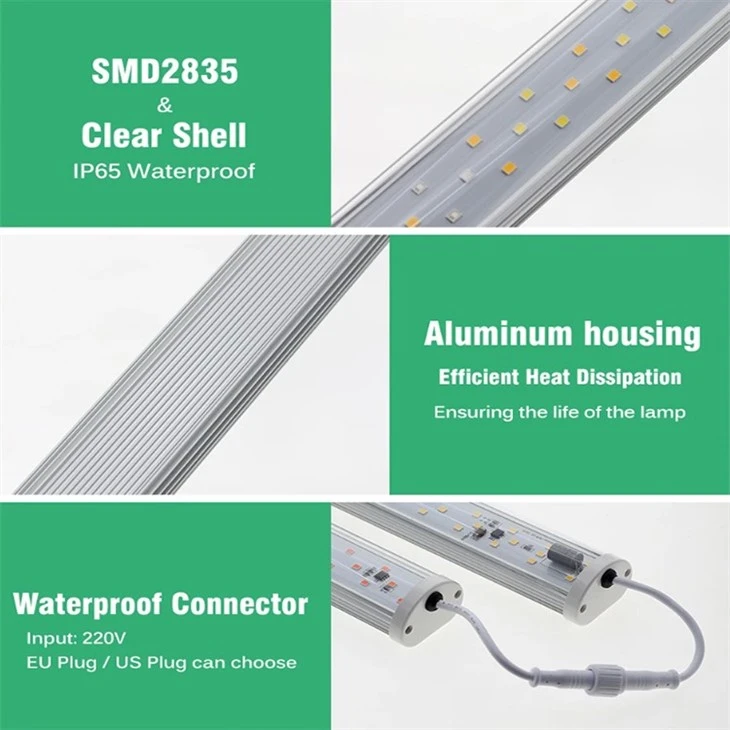 led grow lights for plants