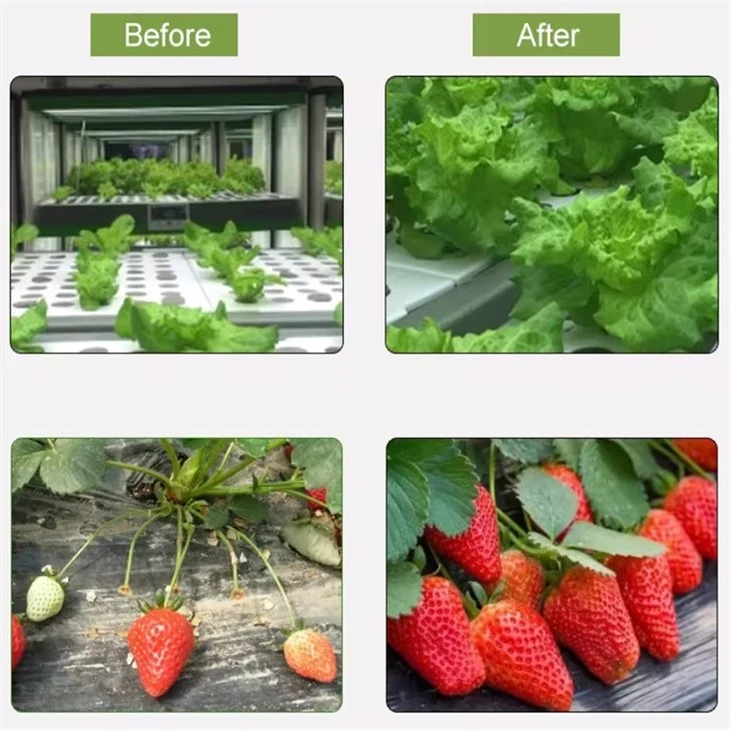 best grow lights