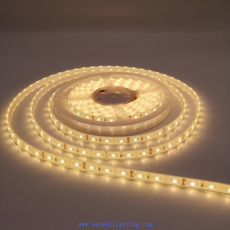 Monochrome And Color LED Light Strips