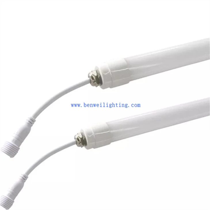 Poultry rearing lamp (5)