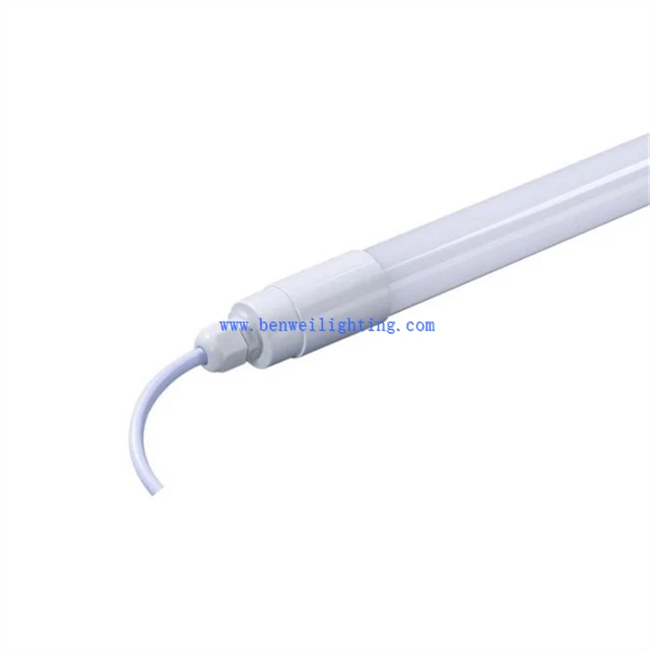 Poultry rearing lamp (3)