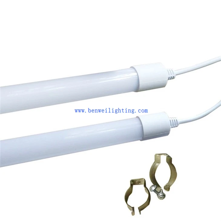 Poultry rearing lamp (1)