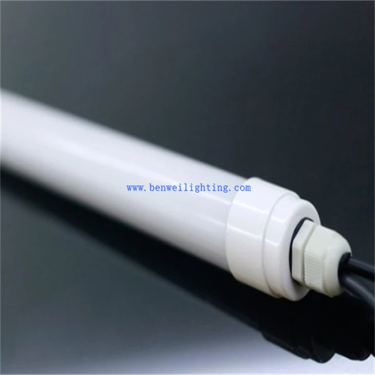 Poultry rearing lamp (2)