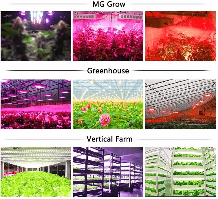 202111101554443086635 202111101554443086635