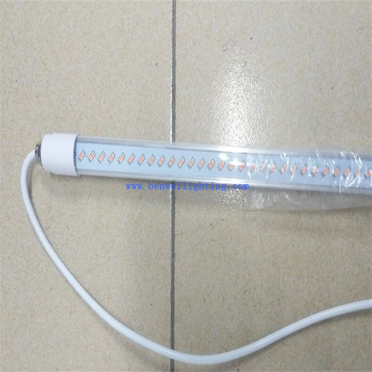 Ranch lights (2)