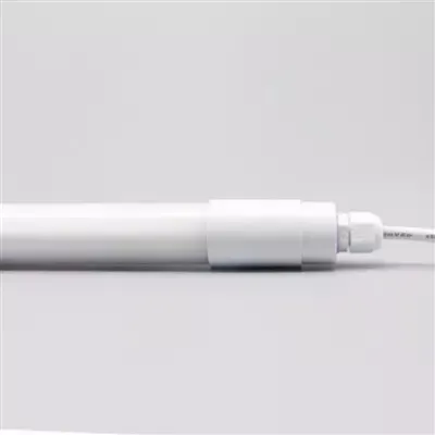 12v poul limyè