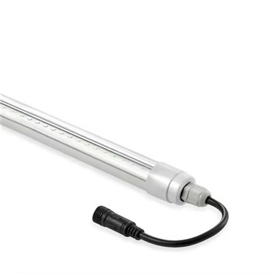 Plant andedan kay la grandi limyè