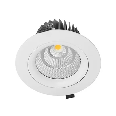 Led Downlight RGB