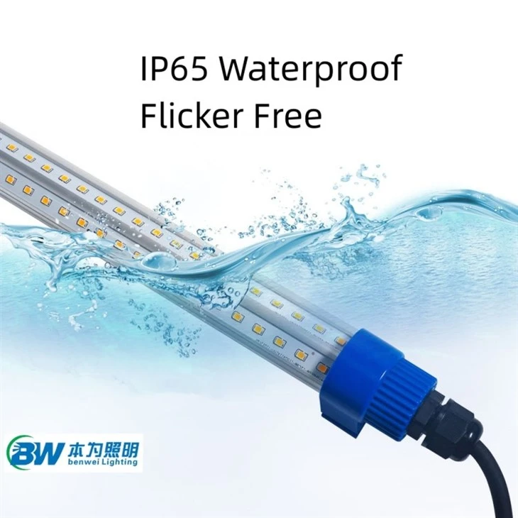 Poultry Farm Lighting System